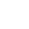 Social icon